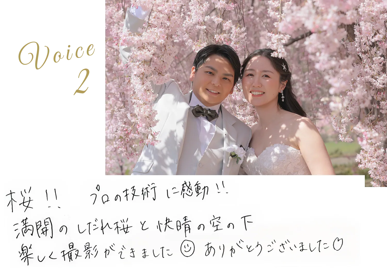 Voice 2