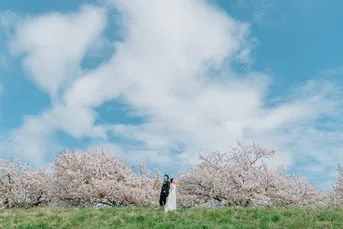 ギャラリー1