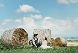 富良野or美瑛の花畑＋もう一箇所