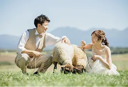 北海道満喫プレミアム