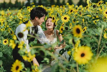 美瑛・富良野の花畑
